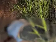 Jovem sequestrado e morto a tiros no Acre; quadrilha presa