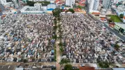 Lei em Pouso Alegre autoriza enterro de pets em jazigos dos tutores