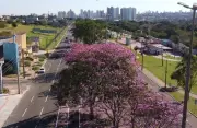 Maio em MS: mês mais quente e seco, com chuvas abaixo da média