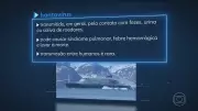 Mais três passageiros retirados de navio com surto raro de hantavírus