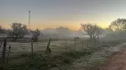 Massa de ar polar avança sobre o RS com geada e mínima de -2,5°C