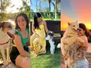 Mães de pet no AC: rotina de cuidados e afeto com cães transforma vidas