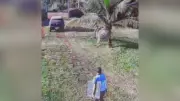 Moradora é rendida na horta e feita refém com marido durante roubo em Delta