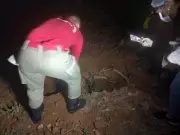Moradores confundem vaca morta com corpo humano em Teresina