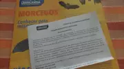 Morcego com raiva no Santa Mônica: Prefeitura orienta vacinação de cães e gatos
