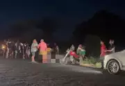 Motociclista morre após colidir com cavalo na TO-201 em Esperantina