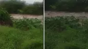 Mulher arrastada por correnteza em Passira é salva por morador