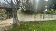 Mulher é encontrada morta em casa na Zona Sul de Porto Alegre; companheiro também morre