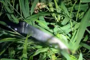 Neto mata avô a facadas após briga familiar em Pirapozinho (SP)