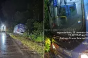 Ônibus intermunicipal invade mata na Rio-Santos em Santos; ninguém se feriu