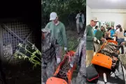 Onça-pintada é capturada em Corumbá após atacar cães na área urbana