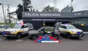 Operação conjunta apreende 270 kg de drogas em rodovia de Presidente Venceslau