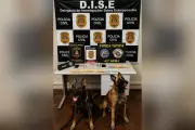 Operação prende quatro jovens por tráfico de drogas em Presidente Epitácio