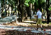 Pacujá lidera ranking de qualidade de vida no Ceará, aponta IPS 2026