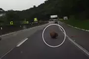 Pedra desliza de barranco e quase atinge carro na BR-277 em Morretes