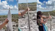 Pedra mole? Geólogos explicam rocha flexível que viralizou nas redes