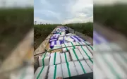 PF apreende 24 toneladas de maconha em caminhão no interior de SP