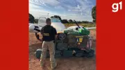 PF apreende 450 kg de cocaína e prende 4 em aeronave em Luciara