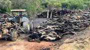 Piauí tem 22 pessoas sob proteção por ameaças de conflitos de terra