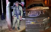Pirarucu de 1,85 m e mais de 100 kg é apreendido em operação contra pesca predatória em Bonópolis