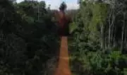 Pistas de pouso clandestinas do garimpo se multiplicam na Amazônia e MPF age