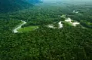 PL da Amazônia pode enfraquecer aviação nacional, alertam especialistas
