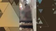 PM salva sobrevivente de queda de avião em BH com torniquete