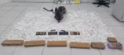 Polícia apreende 6,4 mil papelotes de cocaína em van interestadual em Canapi