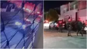 Policial militar de folga é baleado em Fortaleza; suspeito preso