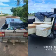 PRF apreende 250 kg de pescados irregulares em rodovias do RN