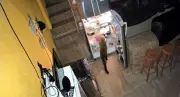 Quati invade casa, abre geladeira e é flagrado por câmeras de segurança