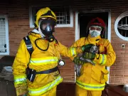 Quatro cães são resgatados de incêndio em Mogi Mirim (SP)