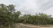 Queda de avião no Texas mata cinco pessoas; não há sobreviventes