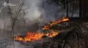 Queda de drone provoca incêndio florestal na zona de exclusão de Chernobyl