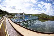 Queda de égua em adutora afeta abastecimento de água na Grande BH