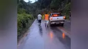 Queda de árvore interdita BR-163 por mais de 2 horas em Santarém