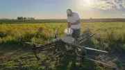 RS usa drones para combater carrapatos com solução biológica inovadora