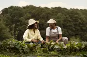 Santa Catarina lidera em mulheres na gestão rural: quase 19 mil agricultoras
