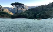 Santa Catarina pode ter dia mais frio de 2026 com -4°C na Serra