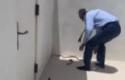 Secretário de Saúde dos EUA é picado por cobra na Flórida; veja vídeo