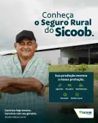 Seguro rural evita prejuízo após tempestade destruir barracão em Vilhena