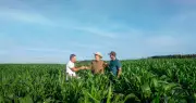 Sicredi libera R$ 48,3 bilhões em crédito agro na safra 2025/2026