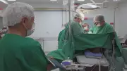 SP registra aumento recorde de doadores de órgãos em 2025