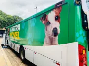 Tatuí abre 1,8 mil vagas para castração gratuita de cães e gatos