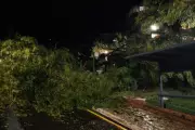 Temporal causa estragos no Paraná com granizo, ventos e queda de árvores