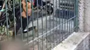 Torcedor do Vasco morre após ser espancado na saída de jogo no Maracanã