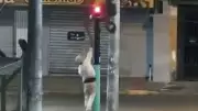 Totem de segurança vandalizado em menos de 12 horas em Novo Hamburgo