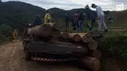 Trabalhador morre soterrado por toras de eucalipto em Fontoura Xavier