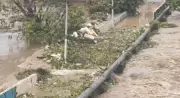 Tragédia no Grande Recife: mortes por soterramento e inundação após chuvas