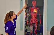 UNITAU abre inscrições para Vestibular de Medicina 2026 com 60 vagas